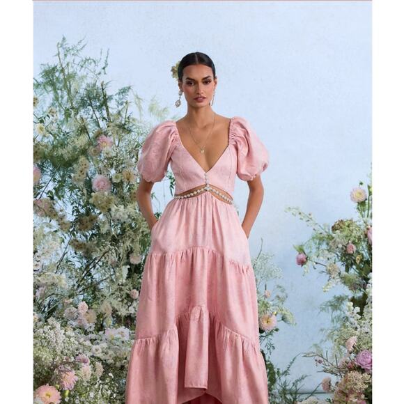 V. Chapman Anthropologie Pink Maxi Dress - Picture 3 of 13